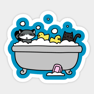 Raccoon and Black Cat Bath Sticker